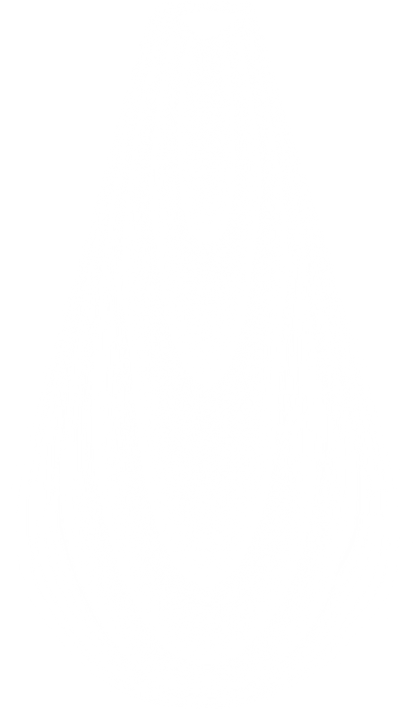 White Spotlight Element